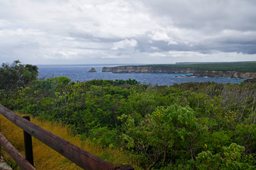 Fototapeta na wymiar The Pointe de la Grande-Vigie is located at the north of Grande-Terre in Guadeloupe, French Antilles, Caribbean. The high cliffs of 80 meters, creating a spectacular and wild landscape.