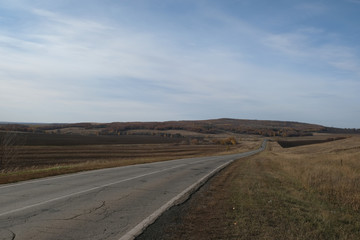 asphalt road, steppe and autumn forest