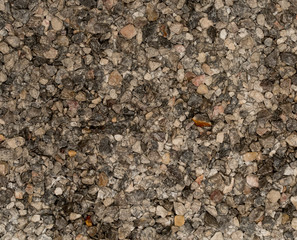 Vue gros plan d'une texture de pierre et gravier marron et ocre humide