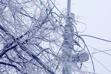 Streetlight lamp and power line on the background of snowy trees in winter