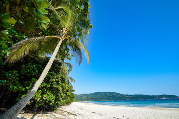 Beach at Ilha Grande in Brazil