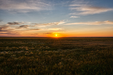 Fototapeta na wymiar Field Sunset