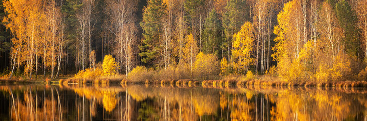 panorama of autumn forest on the river Bank in the Urals, Russia, October