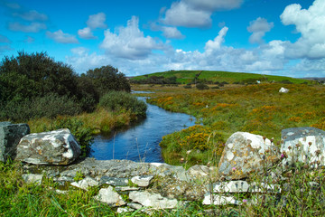Connemara