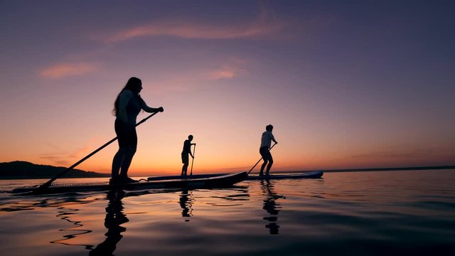 Young people are riding paddleboards across the sunset lake
