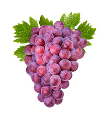 Fresh purple grapes isolated on white background with clipping pass