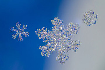 white snowflakes on blue background