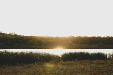 Fototapeta premium River and forest against sunset. Beautiful summer weather