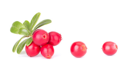 Fresh red berry: hand-picked forest Cowberry isolated on white background