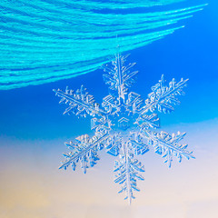 snowflakes on blue background