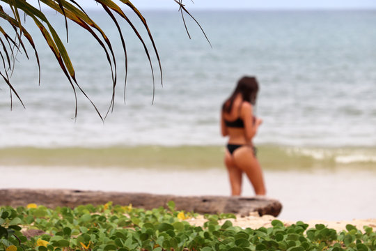 Tropical beach, view through palm leaves to sexy woman in thong bikini standing on a seacoast, selective focus. Concept of summer leisure, tan and relax on a paradise nature