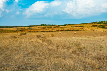 plowed field with hay bales
