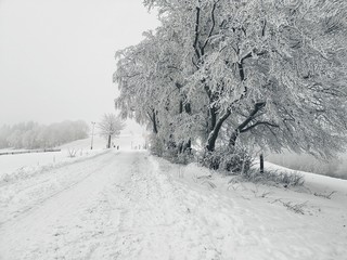 Snow