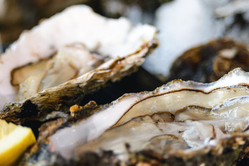 Big fresh oysters on ice. Seafood. Sale of oysters at a seafood market in Ostend, Belgium. Close-up.