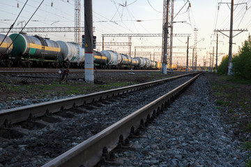 Fototapeta na wymiar View of the railway station, freight train at sunset