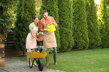 Fototapeta premium Happy couple working together in green garden