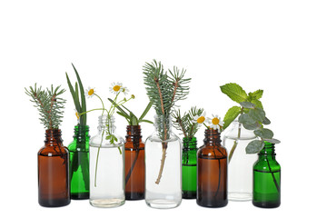 Glass bottles of different essential oils with plants on white background