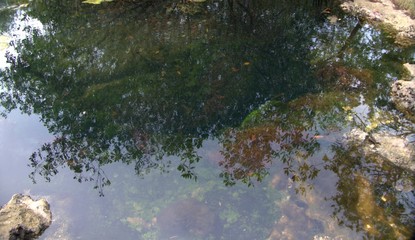 Reflection Abstract