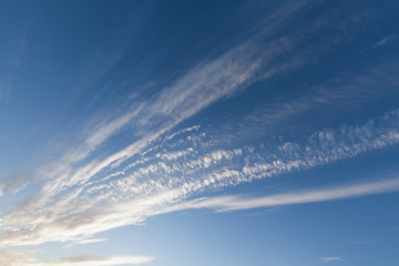 Naklejka na ściany i meble Lines of clouds and blue sky
