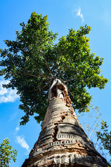 Fototapeta premium Shwe Indein Pagodas near Inle lake (Myanmar)