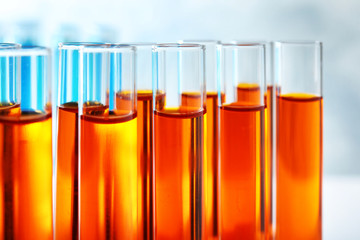Many test tubes with orange liquid, closeup