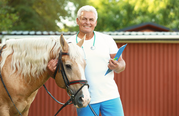 Senior veterinarian with clipboard near palomino horse outdoors