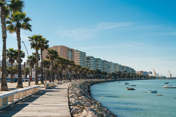 View of the sea beach with palm trees in a row and beige buildings © mnelen.com