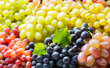 colorful ripe grapes as background