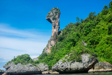 Fototapeta na wymiar chicken island in Thailand