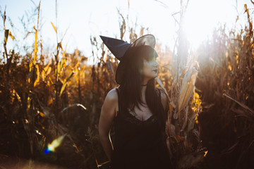 Halloween costume witch girl portrait in a cornfield at sunset. Beautiful serious young woman in...