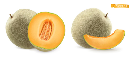 Sweet melon, cantaloupe. 3d realistic vector icon - obrazy, fototapety, plakaty