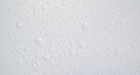 Water Pearls on Surface background.