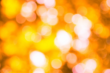 autumn background with sunny rays