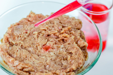 meat on a white background. experiments, chemistry, artificial