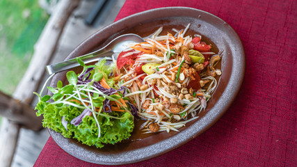Delicious Spicy Papaya Salad