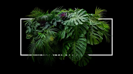 Rolgordijnen Tropische bladeren gebladerte jungle plant bush bloemstuk natuur achtergrond met wit frame op zwarte achtergrond. © Chansom Pantip