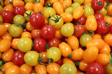 tomates cerises rouge jaune orange