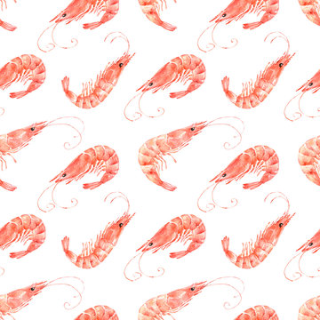 pattern of watercolor seafood illustrations, red shrimp on a white background