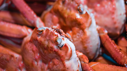 Raw Material Fresh Orange Crabs