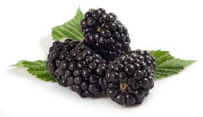 Isolated image of ripe blackberry on white background closeup