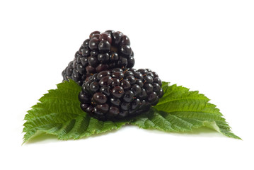 Isolated image of ripe blackberry on white background closeup