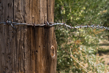 Wooden post with barbed wire