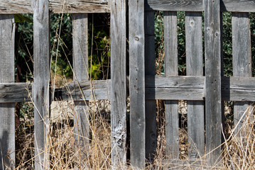 Gray wooden fence in sunlight