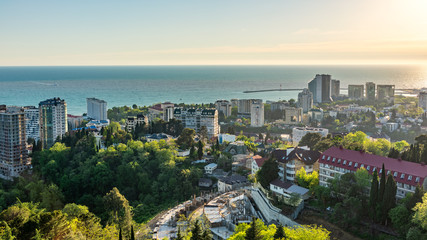 Obraz premium Green valley with the city Sochi in the sunshine.