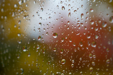 Raindrops on a window with a view of yellowed autumn trees