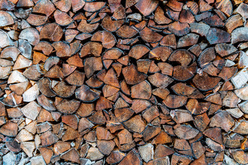 Woodpile in stack in forest