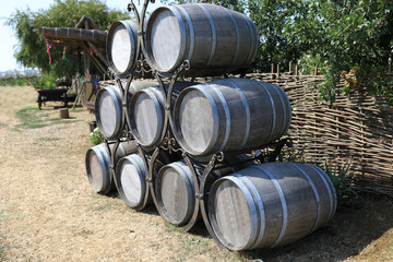 Wine wooden barrels on farm