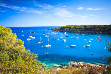 Obraz premium Gulf with many yachts and boats near Fetovaia beach on Elba island in Tuscany Italy