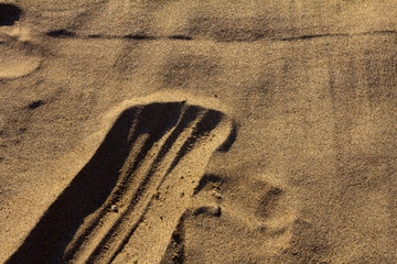 Sandy Footprint Human in the Beach