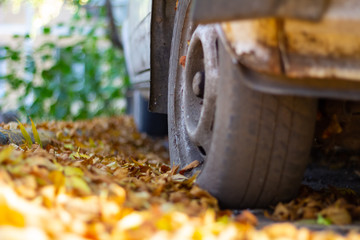 Fallen Leaves of Trees Around a Car Wheel